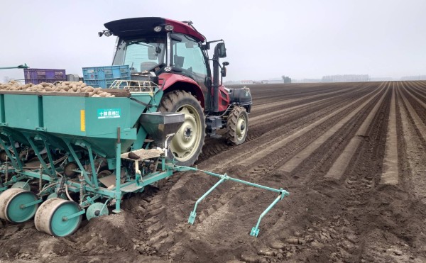 春の畑仕事開始！